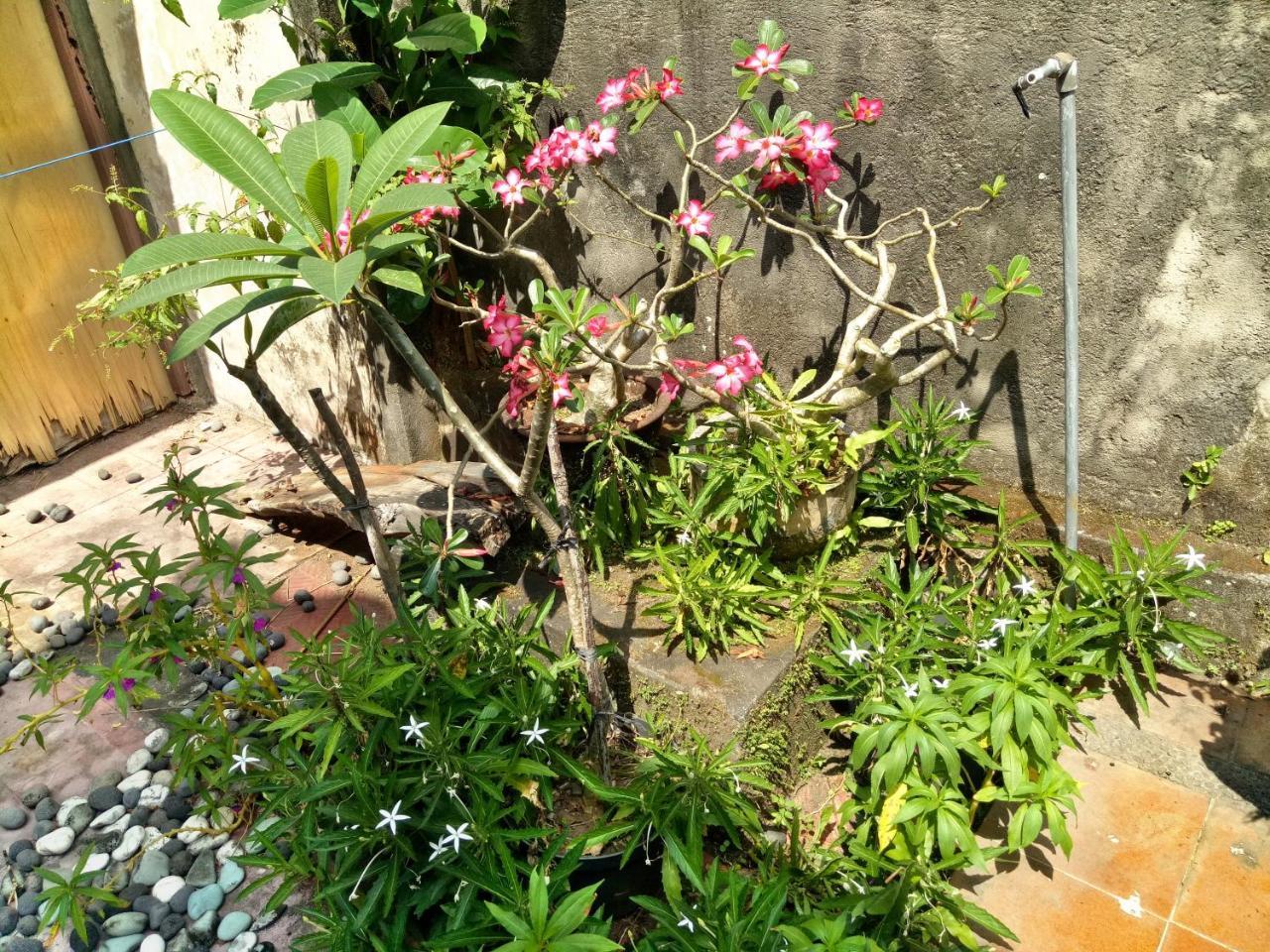 Suandi House Bed & Breakfast Ubud  Ngoại thất bức ảnh